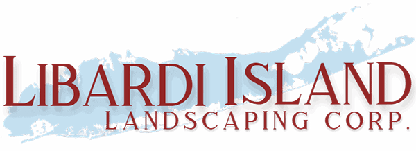 fcc6b5ac-2b50-40b8-ba5c-4c522f6bda7b